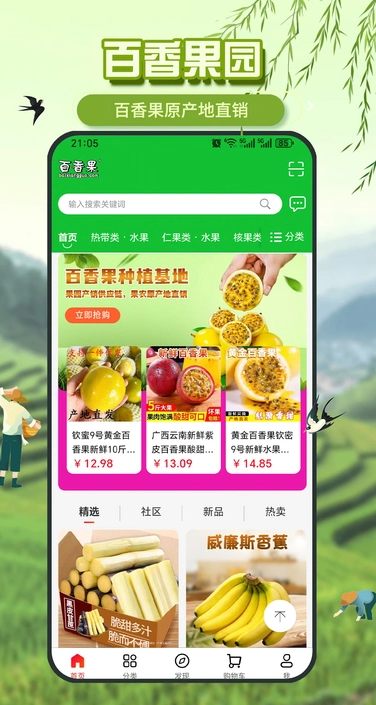 百香果1