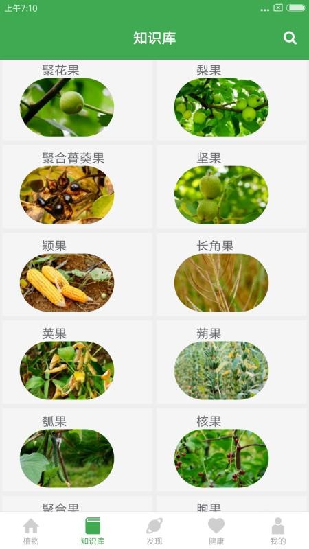 植物百科1