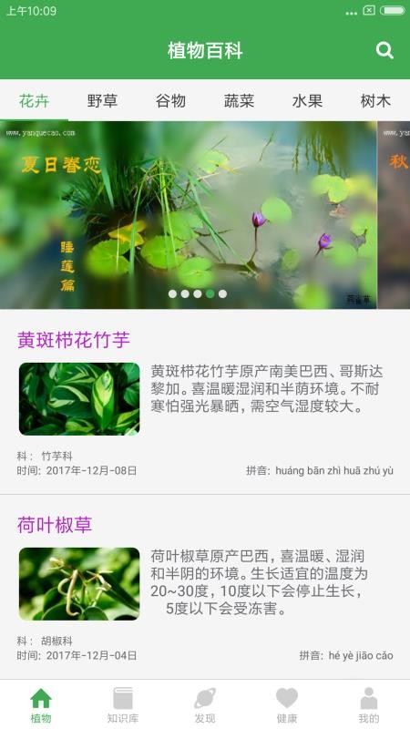 植物百科3