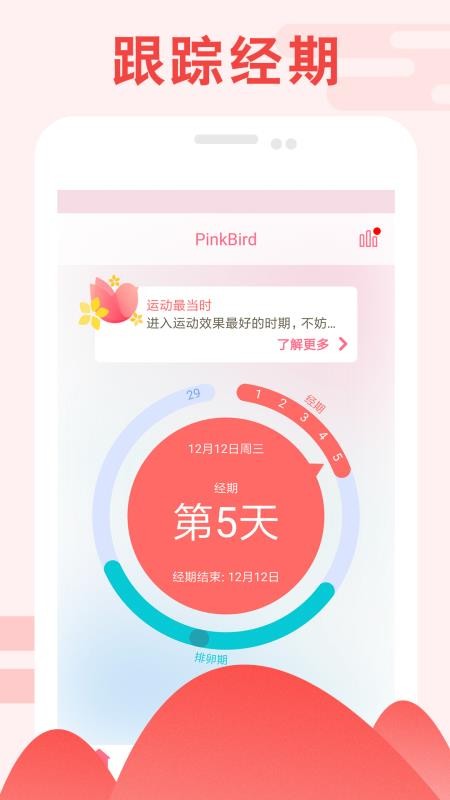 PinkBird1