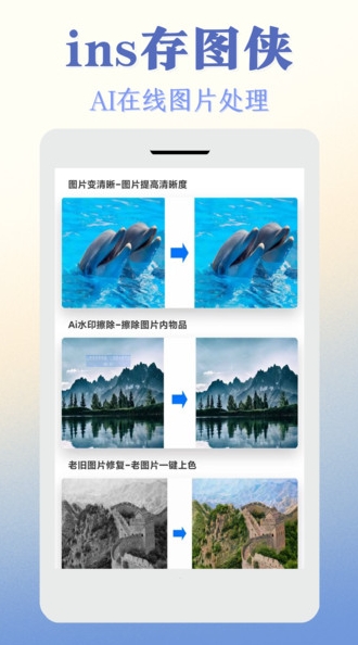ins存图侠3