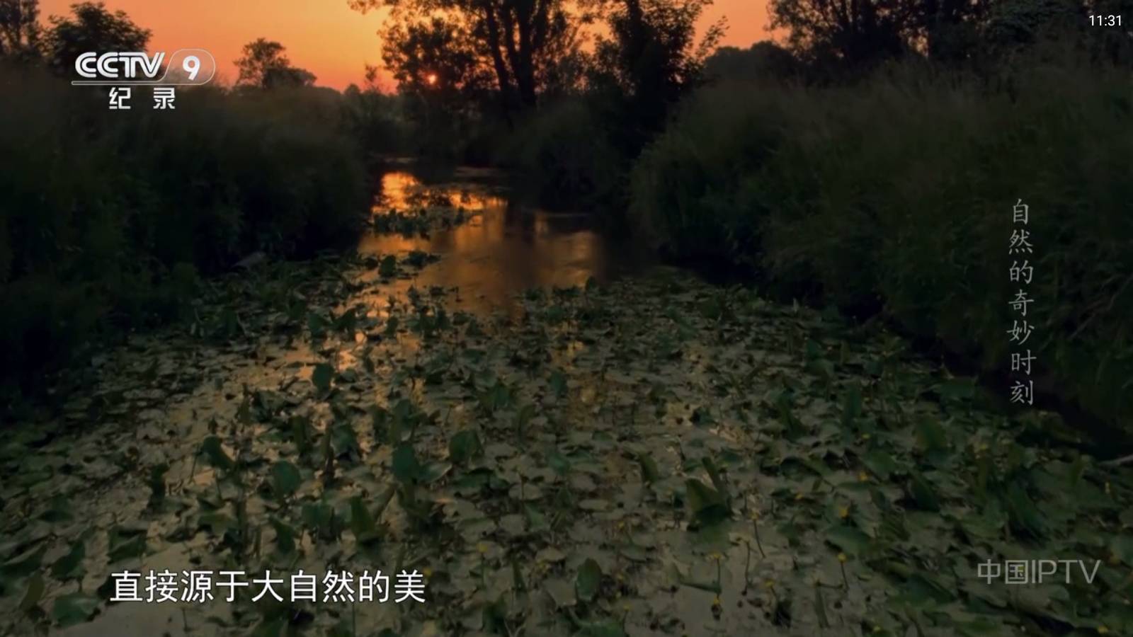 云享直播0