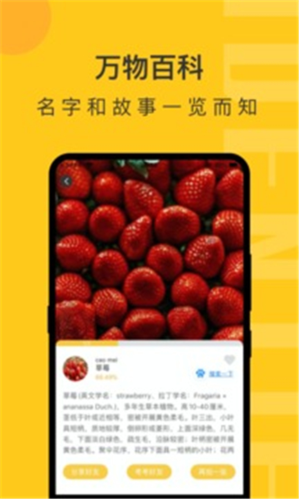 智慧识物扫一扫3