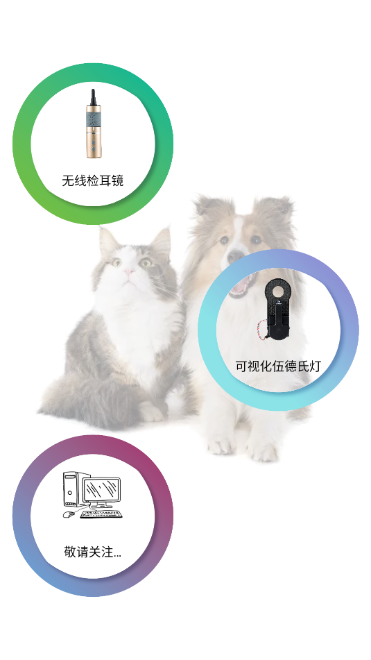 睫美科技2