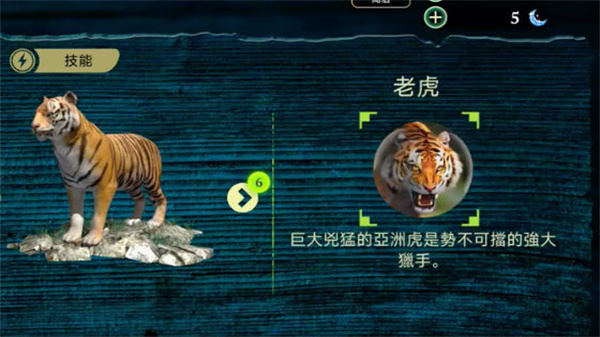 虎王模拟器最新版3
