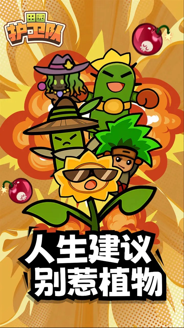 田园护卫队3