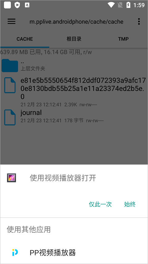 PP视频播放