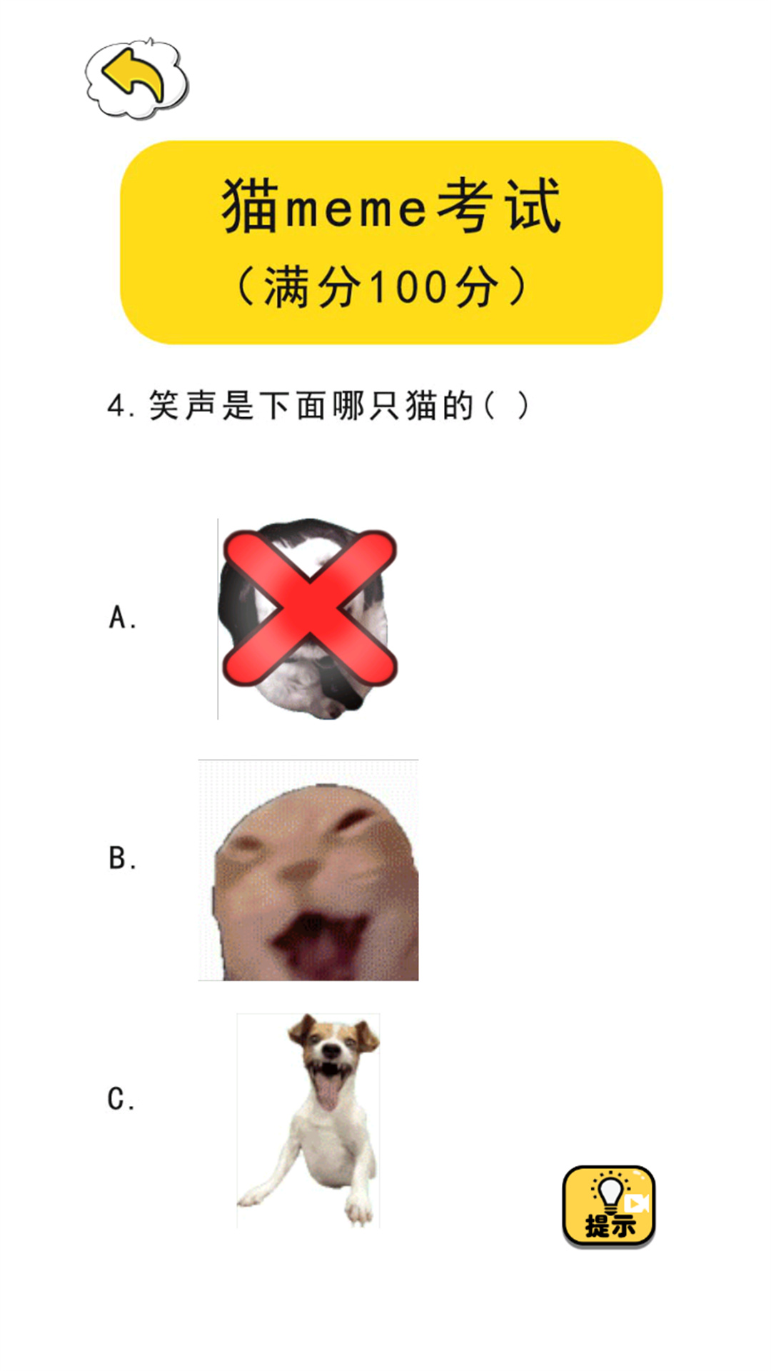 猫meme热梗1