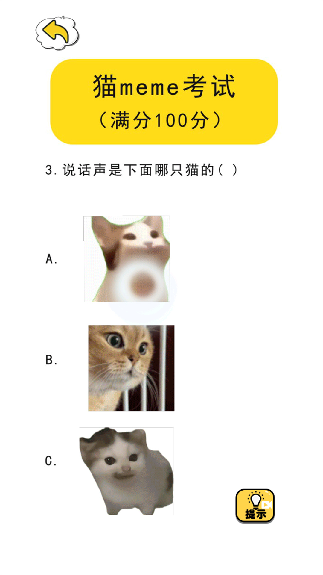 猫meme热梗2