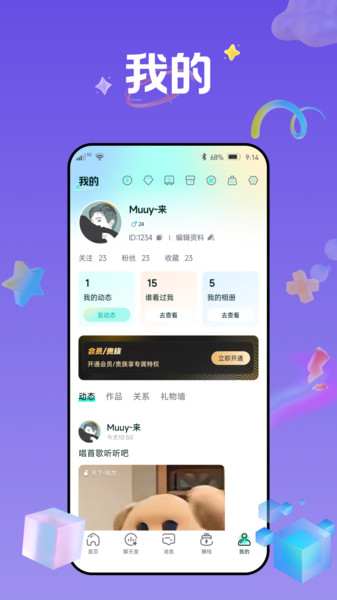 Voicelink2