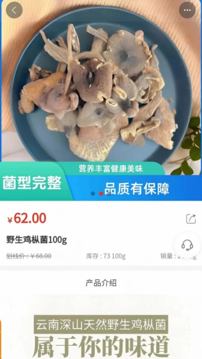 露叶皓天3