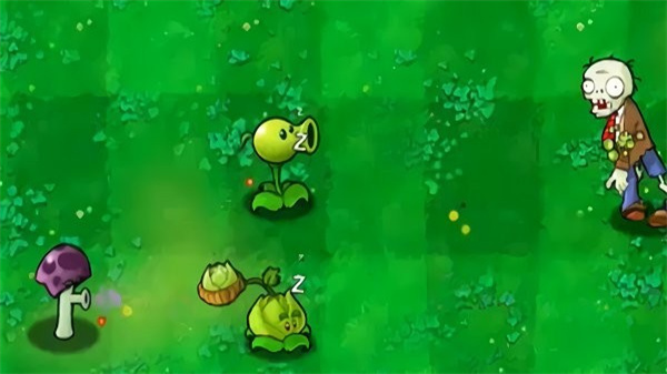 胆小菇之梦正版0