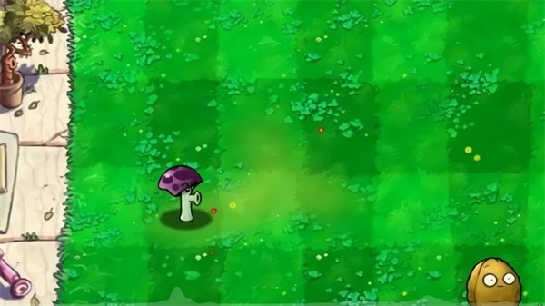 胆小菇之梦正版2