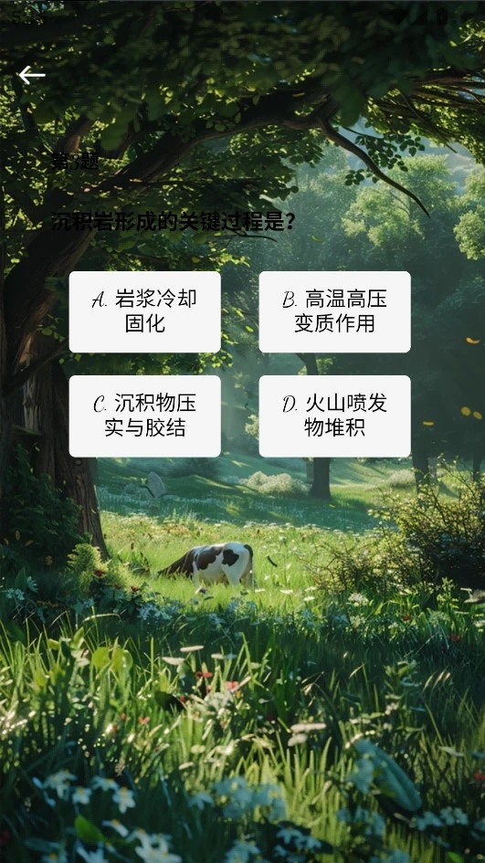 玮淼时光2