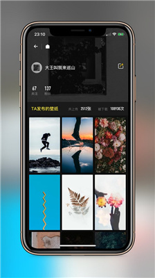 纸塘壁纸vip版2