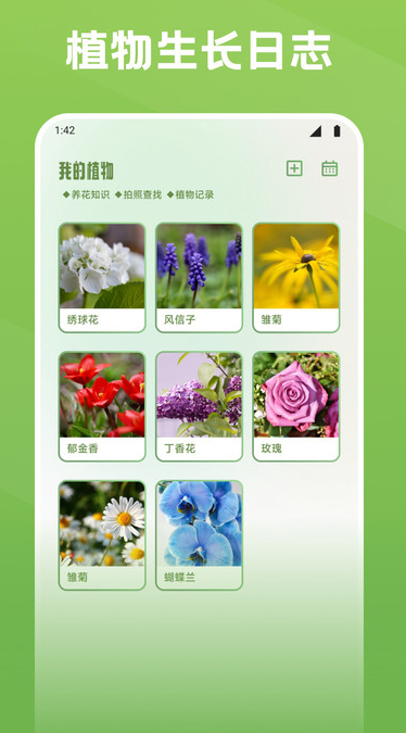 秀花时光1