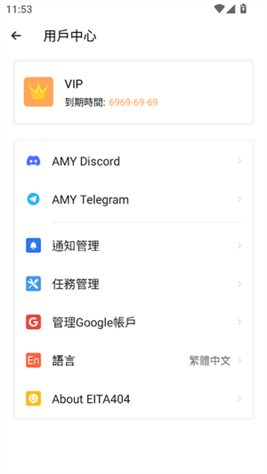 AMY VIRTUAL1