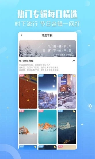 小鸟壁纸手机版0