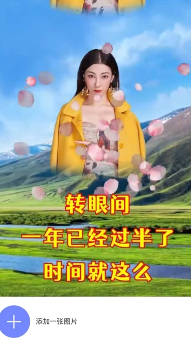 豆宝2