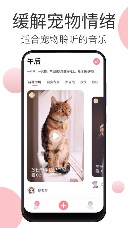 宠物音乐3