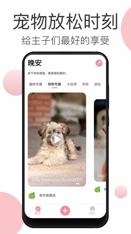 宠物音乐