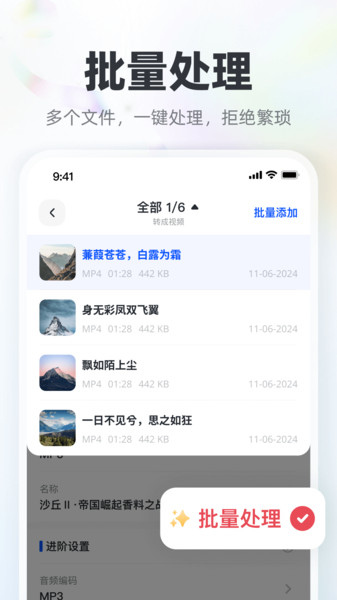 格式转换猫2