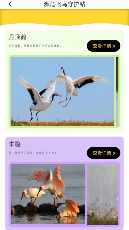 鸟语星球2