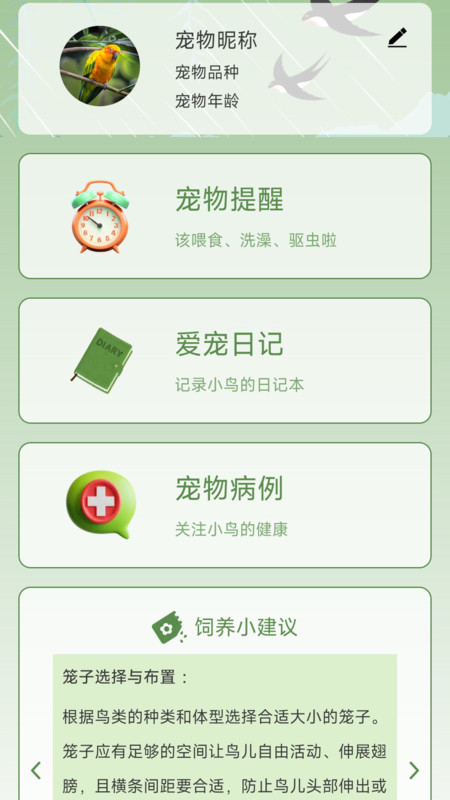 鸟语星球4
