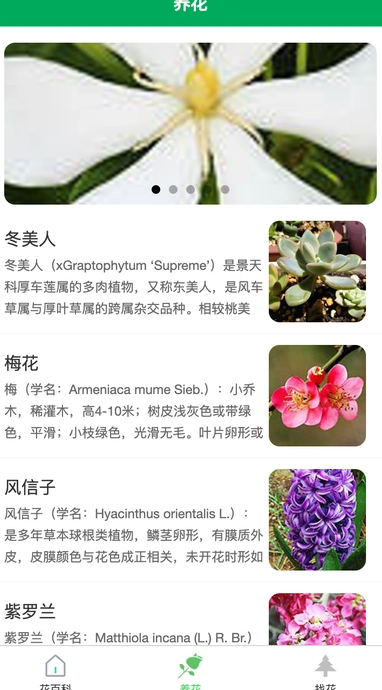 润天花园1