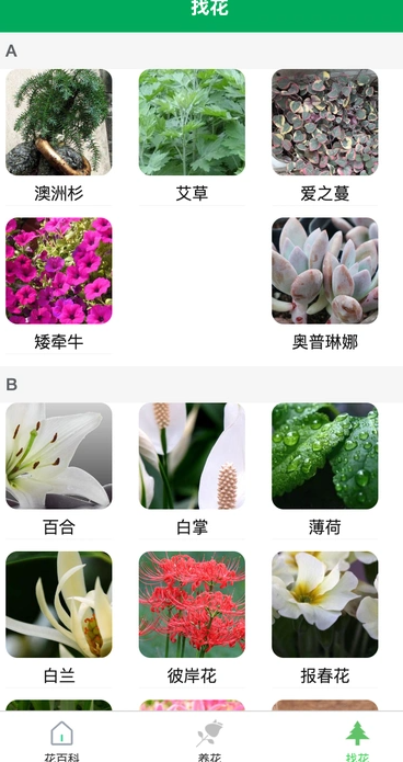 润天花园2