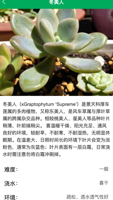 润天花园4