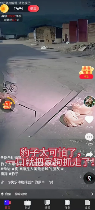 发财荔枝4