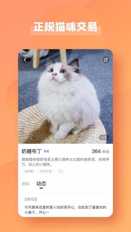 宠酱3