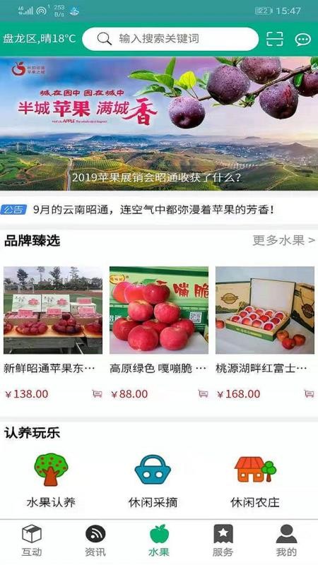 昭通苹果2