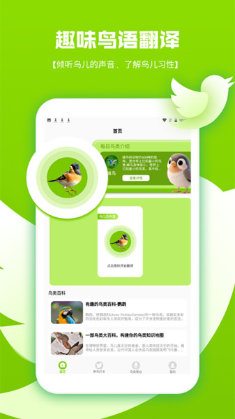 鸟语翻译器pro1