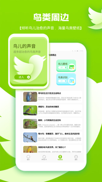 鸟语翻译器pro3