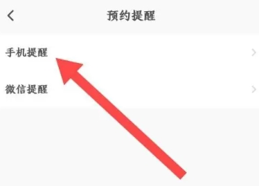 闪电龟升级版6