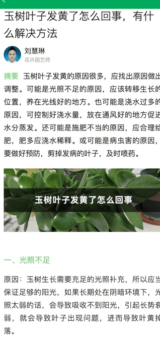 奇奇花园2