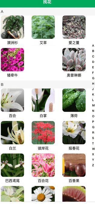 奇奇花园3