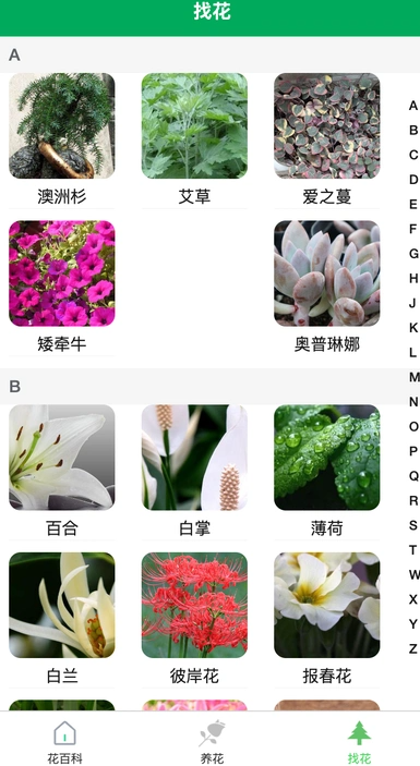 锐创花园1