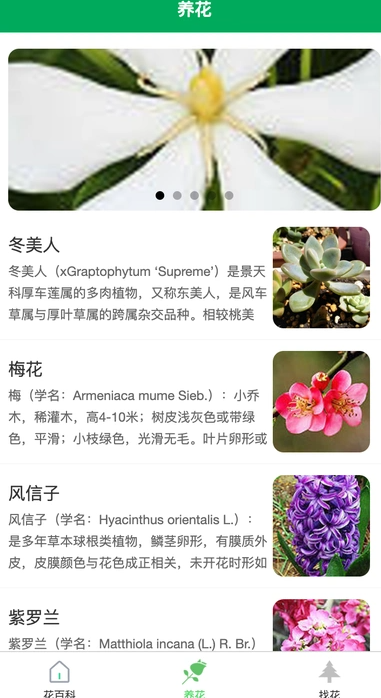锐创花园2
