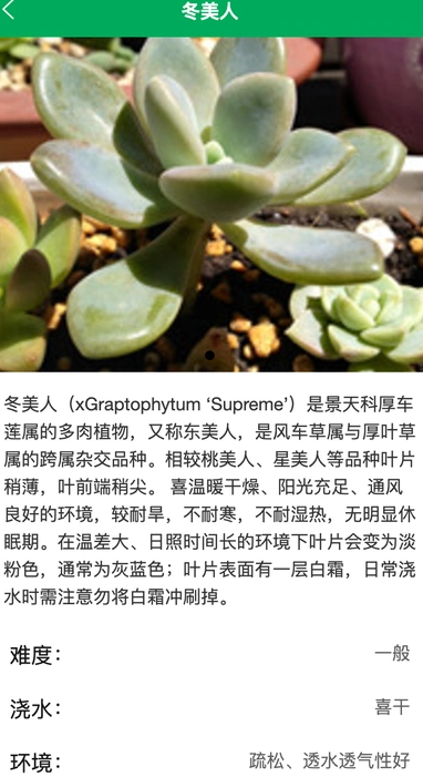 锐创花园3