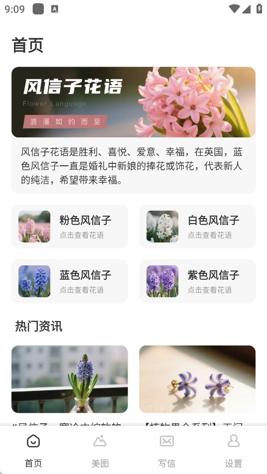 风信子花