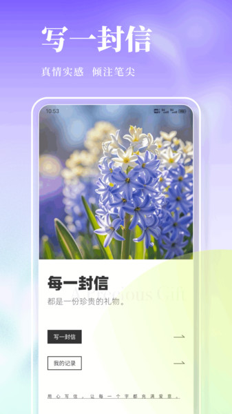 风信子笔记2