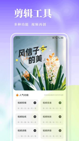 风信子笔记3