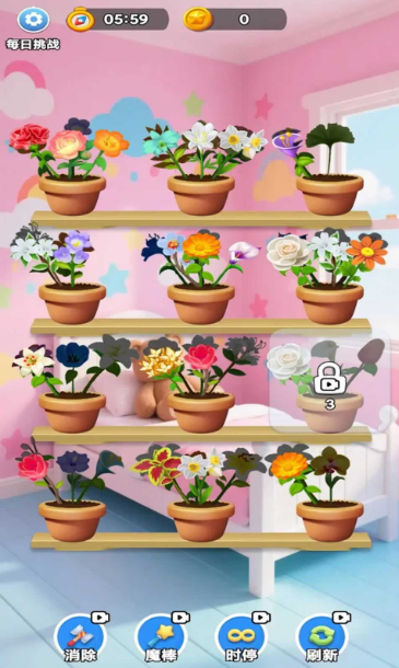 花朵家园2