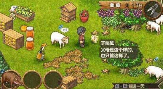欢迎来到绵羊村20232