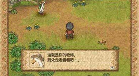 欢迎来到绵羊村20234