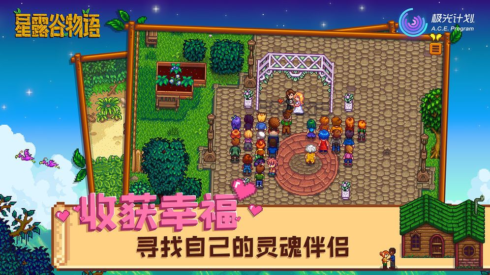 星露谷物语数数魔改版城堡风