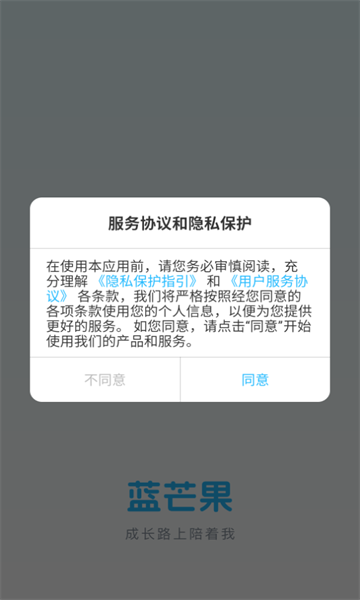 蓝芒果1